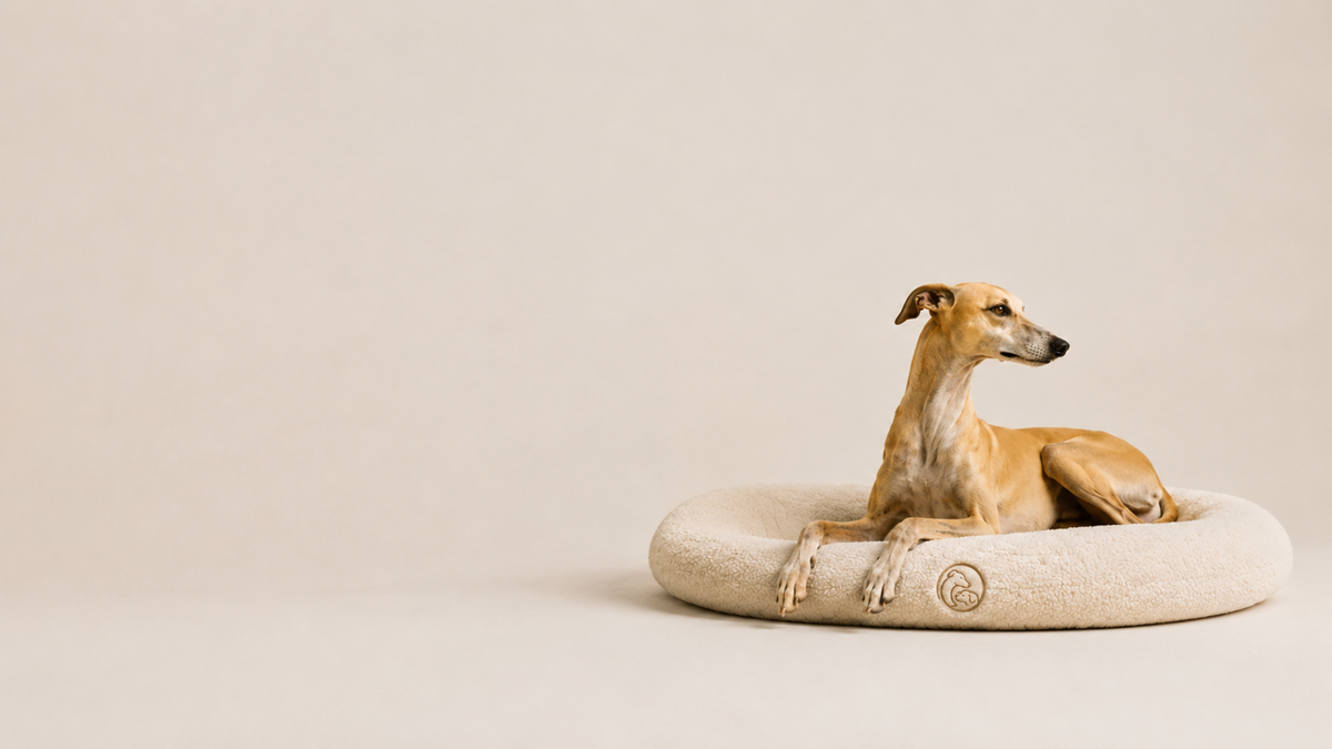 Perro tipo galgo tumbado en una cama redonda WINNOWO de color crudo