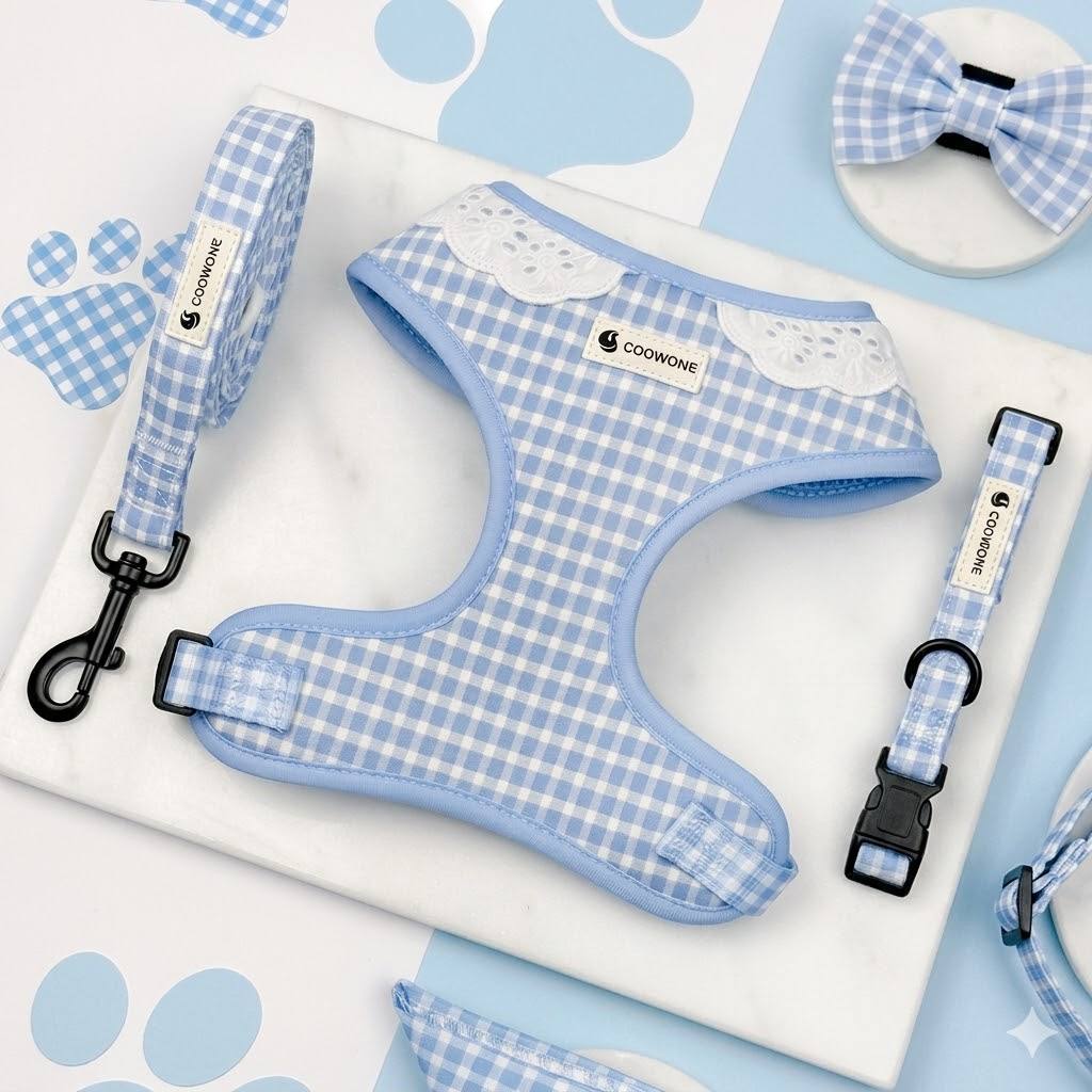 Set de Paseo Vichy Sky
