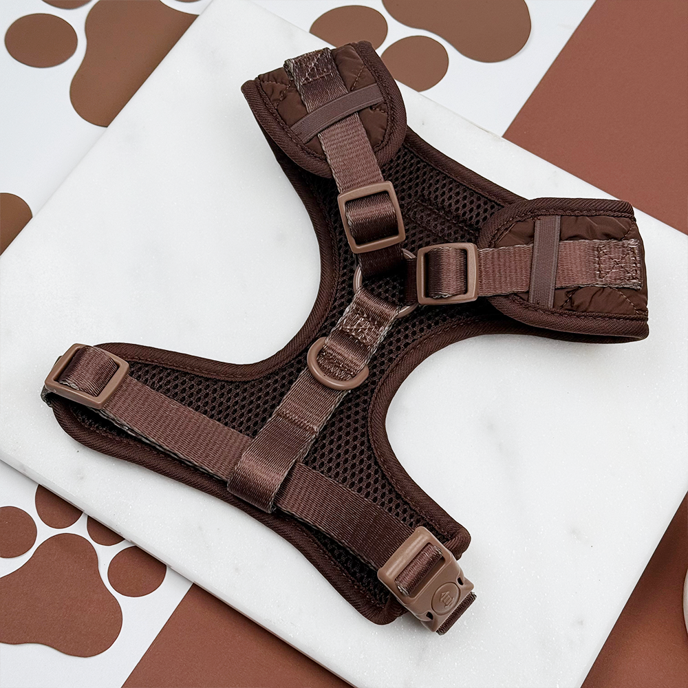 Set de Paseo Cocoa (Arnés + Correa + Portabolsas)
