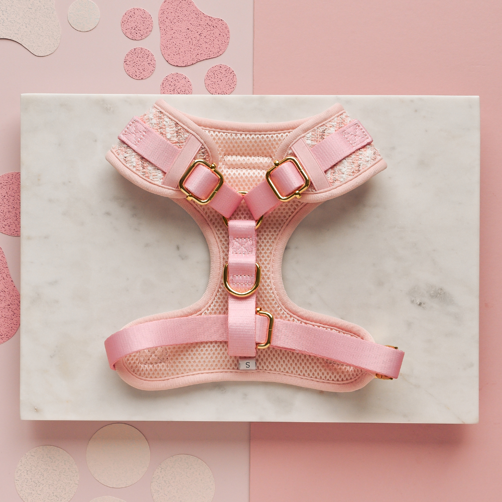 Set de Paseo Tweed Rose