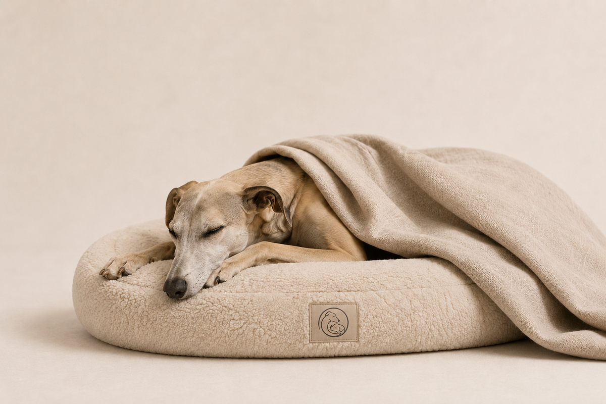 Perro dormido en cama WINNOWO